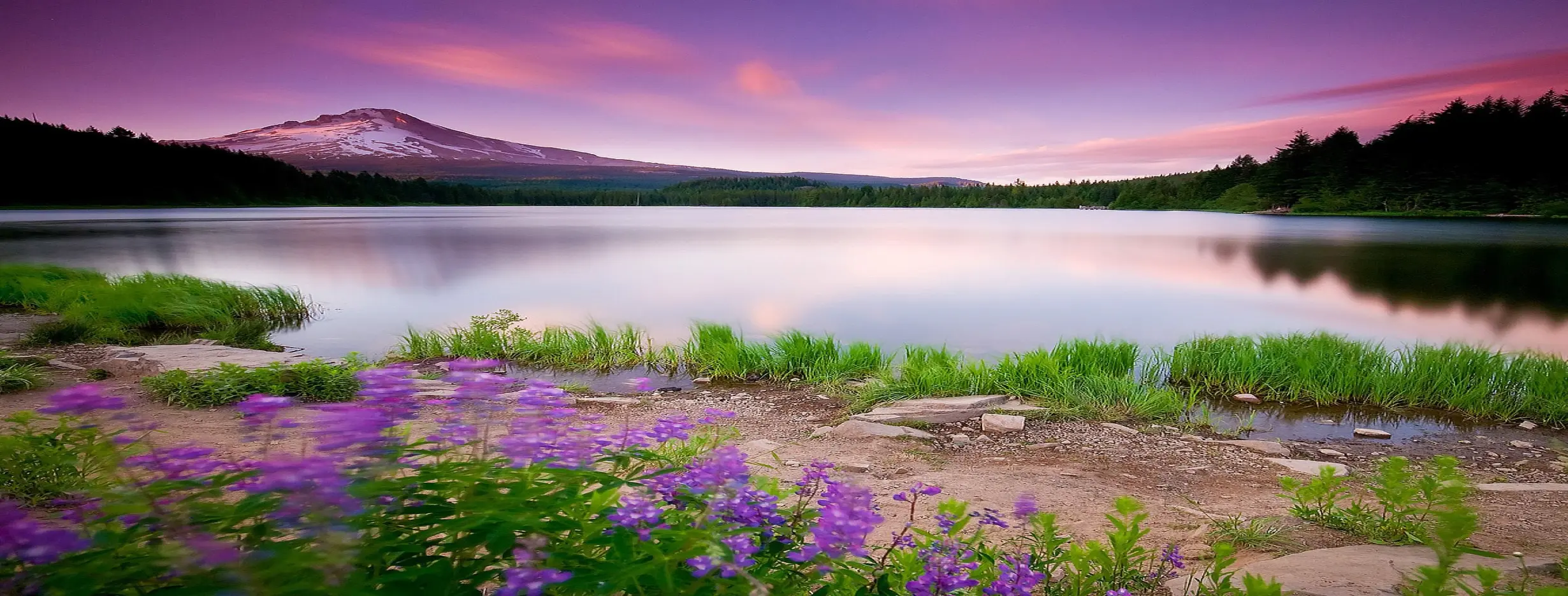 Image for Natural Beauty Bliss
